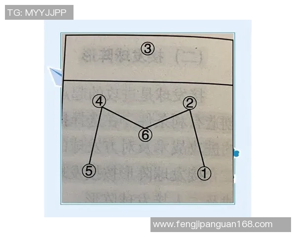广州排球队中路突破战术解析与未来发展展望