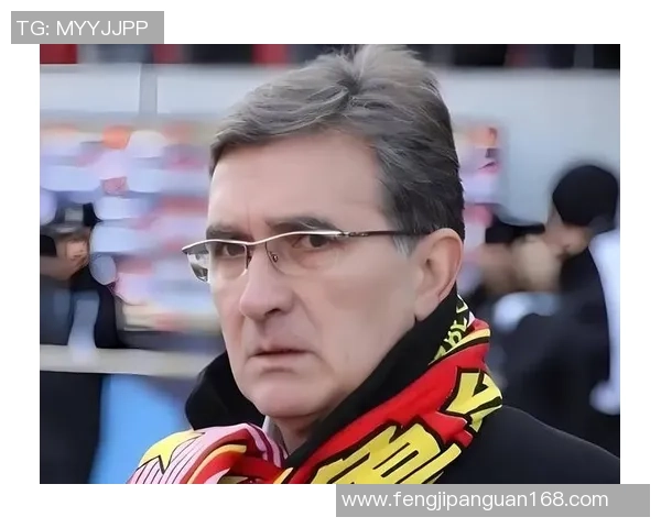 足球明星伊维奇的职业生涯与成就全景介绍及精彩图片展示