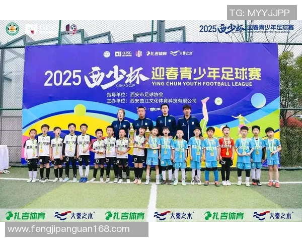 足球明星的荣耀与梦想：为他们的奋斗与成就而歌