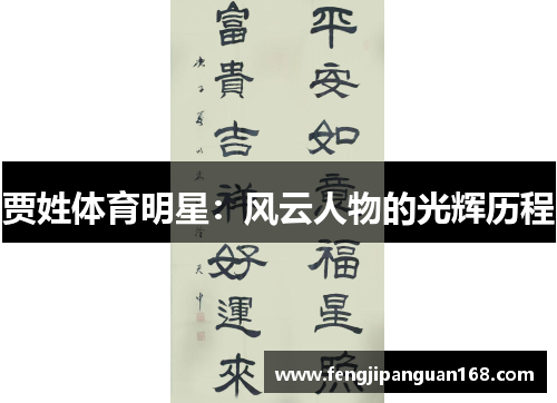 贾姓体育明星：风云人物的光辉历程