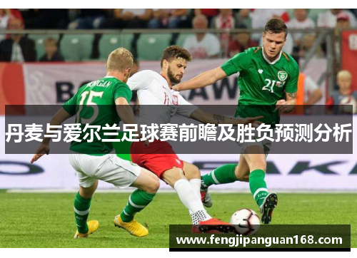 丹麦与爱尔兰足球赛前瞻及胜负预测分析